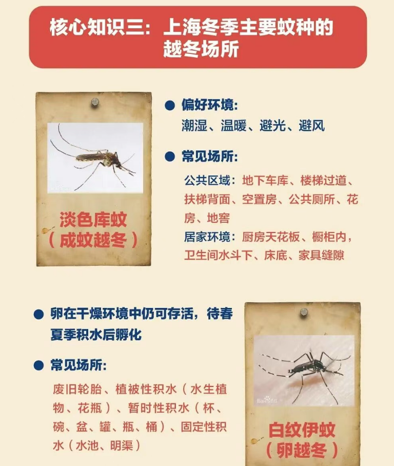 1768807763455899.png image.png